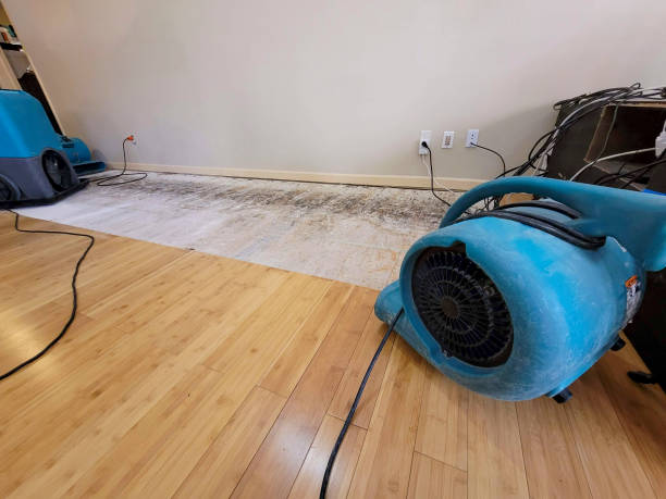 Professional Water Damage Repair technician working in Hornbeak, TN